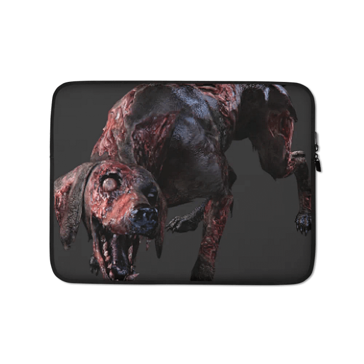 Laptop case 
