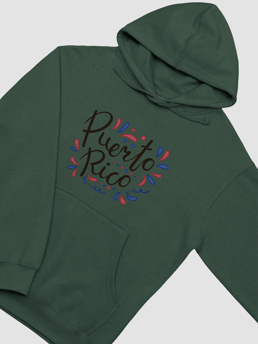 Puerto Rico Festive Script Hoodie product image (16)
