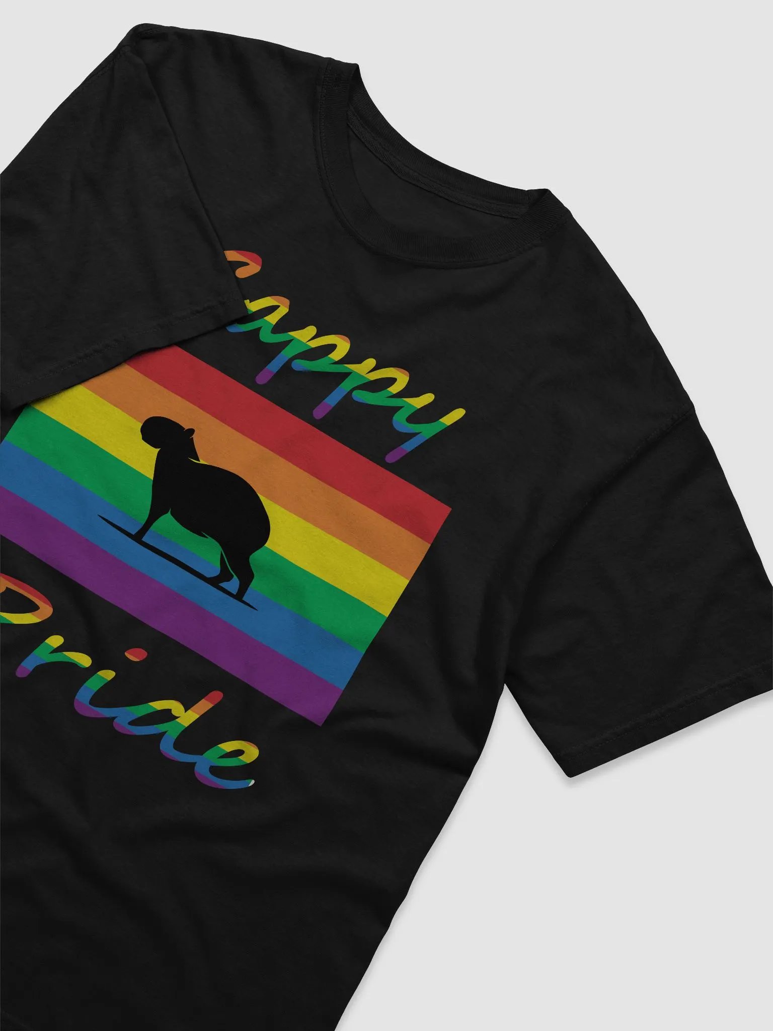 Cappy Pride Rainbow T-Shirt | EU & US product image (3)