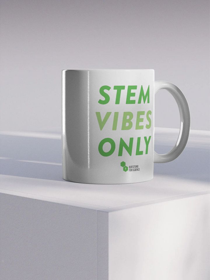 STEM VIBES ONLY mug product image (1)