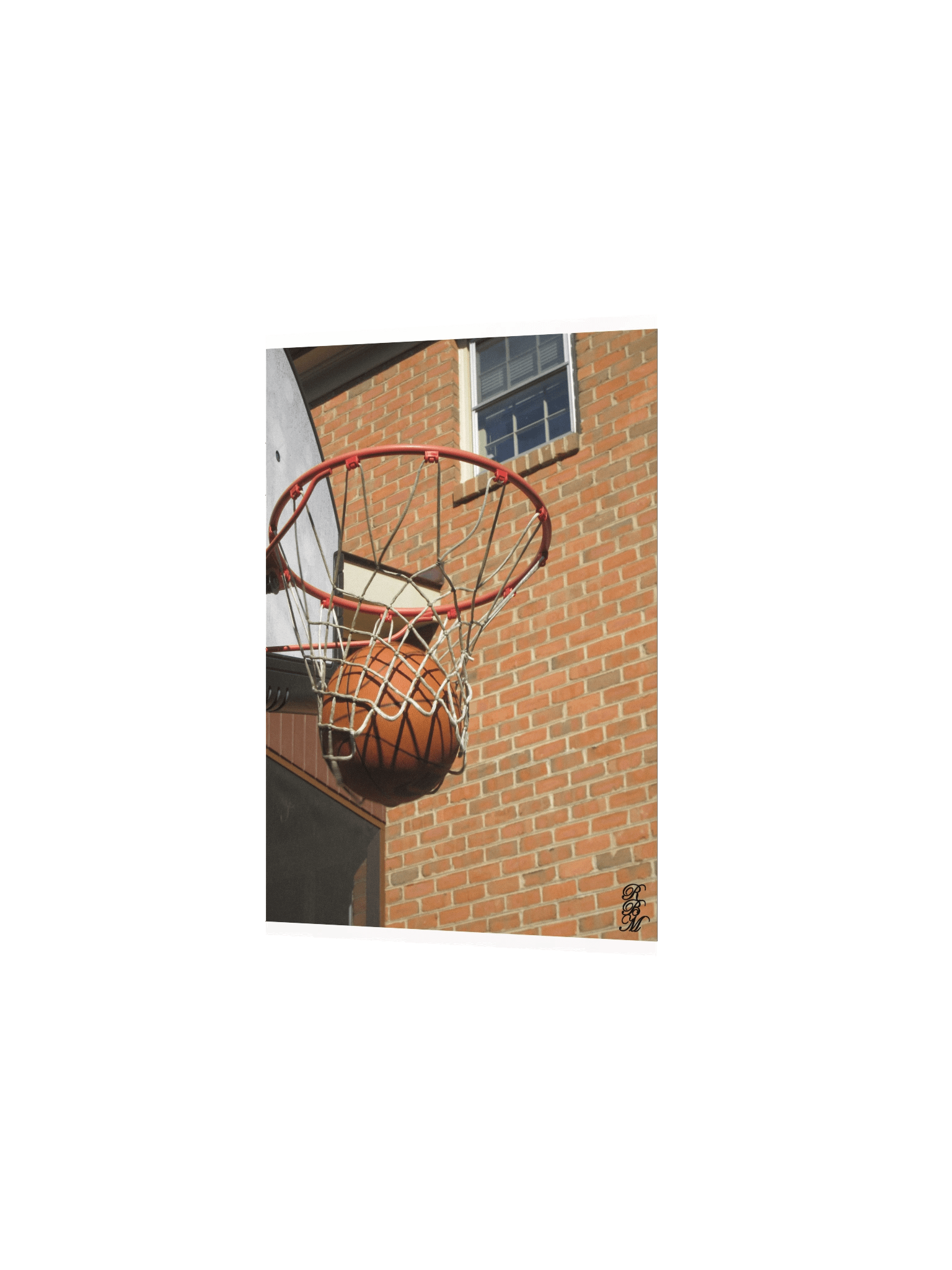 Nothing But Net product image (8)