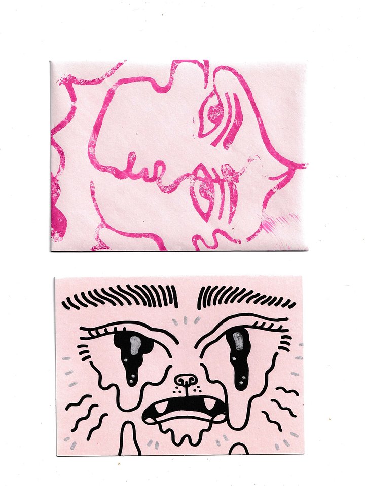 the Pink Package #2 product image (1)