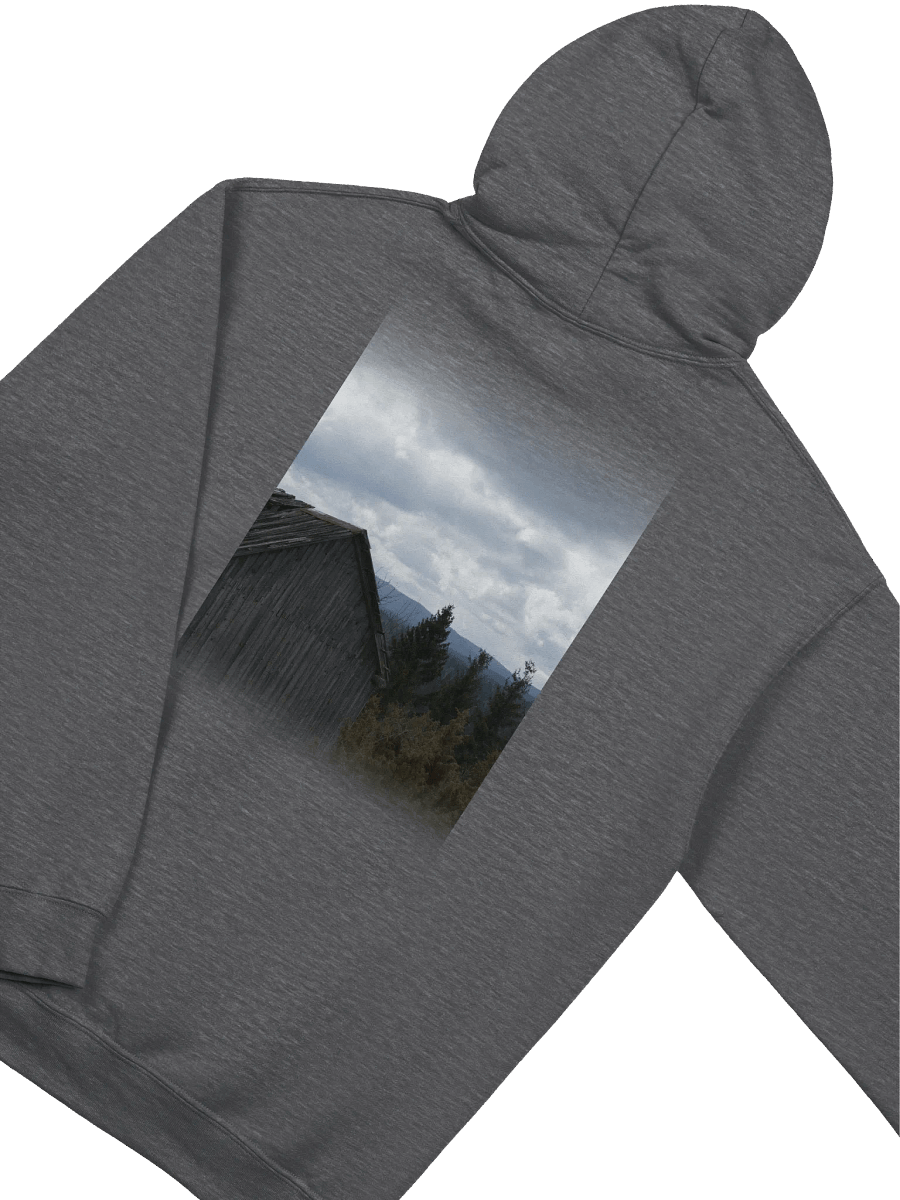 Elec Ghosts Special Hoodie product image (4)