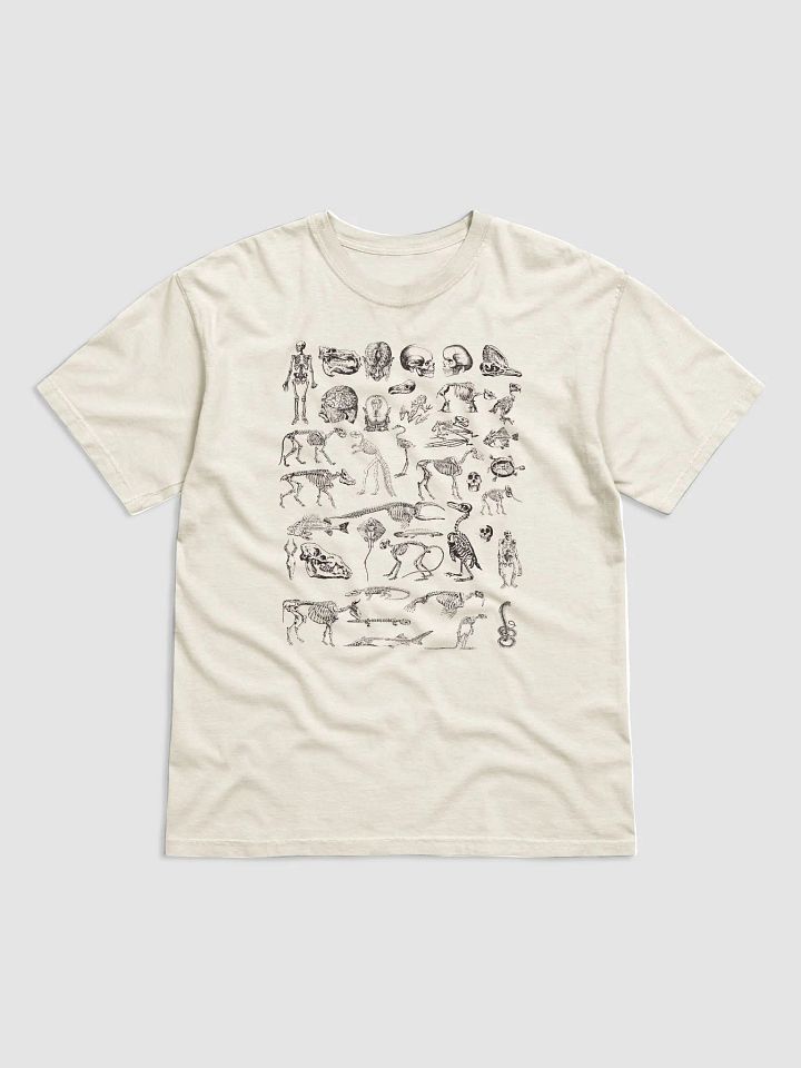 Vintage-Style Human and Animal Skeletons T-Shirt | Vintage-Style Dark Academia Shirt for Osteology and Anthropology Enthusiasts product image (12)