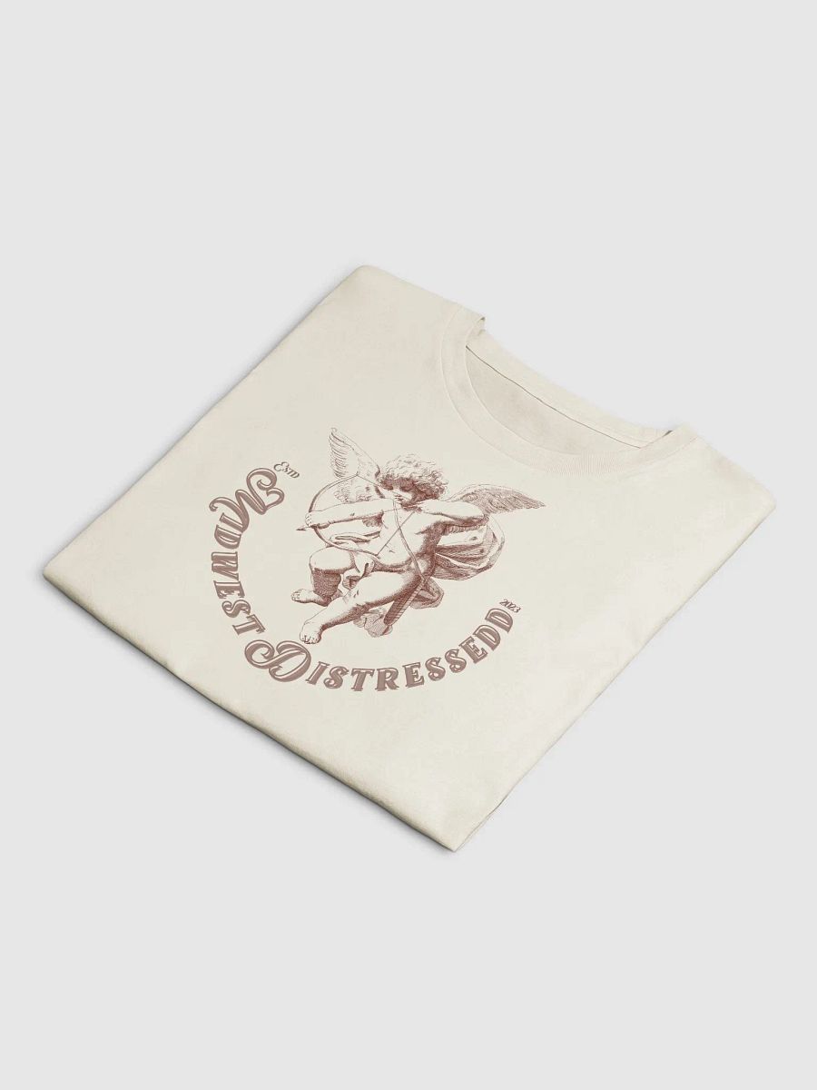 MidwestDistressedd Crop Tee product image (20)