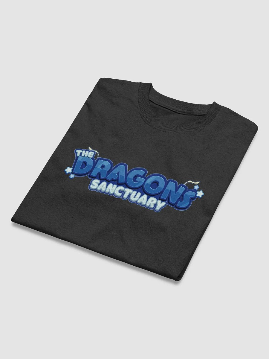 The Dragon Sanctuary Community T-Shirt product image (33)