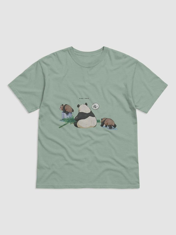 RUIBAO HUIBAO🐼Giant Panda product image (2)