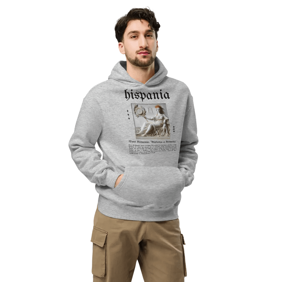 Sudadera con capucha gris - Laus Hispaniae product image (7)