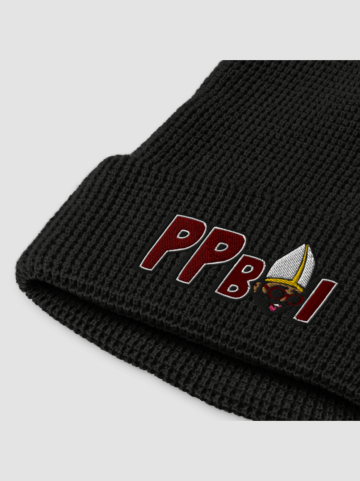 PPBoi Beanie product image (1)