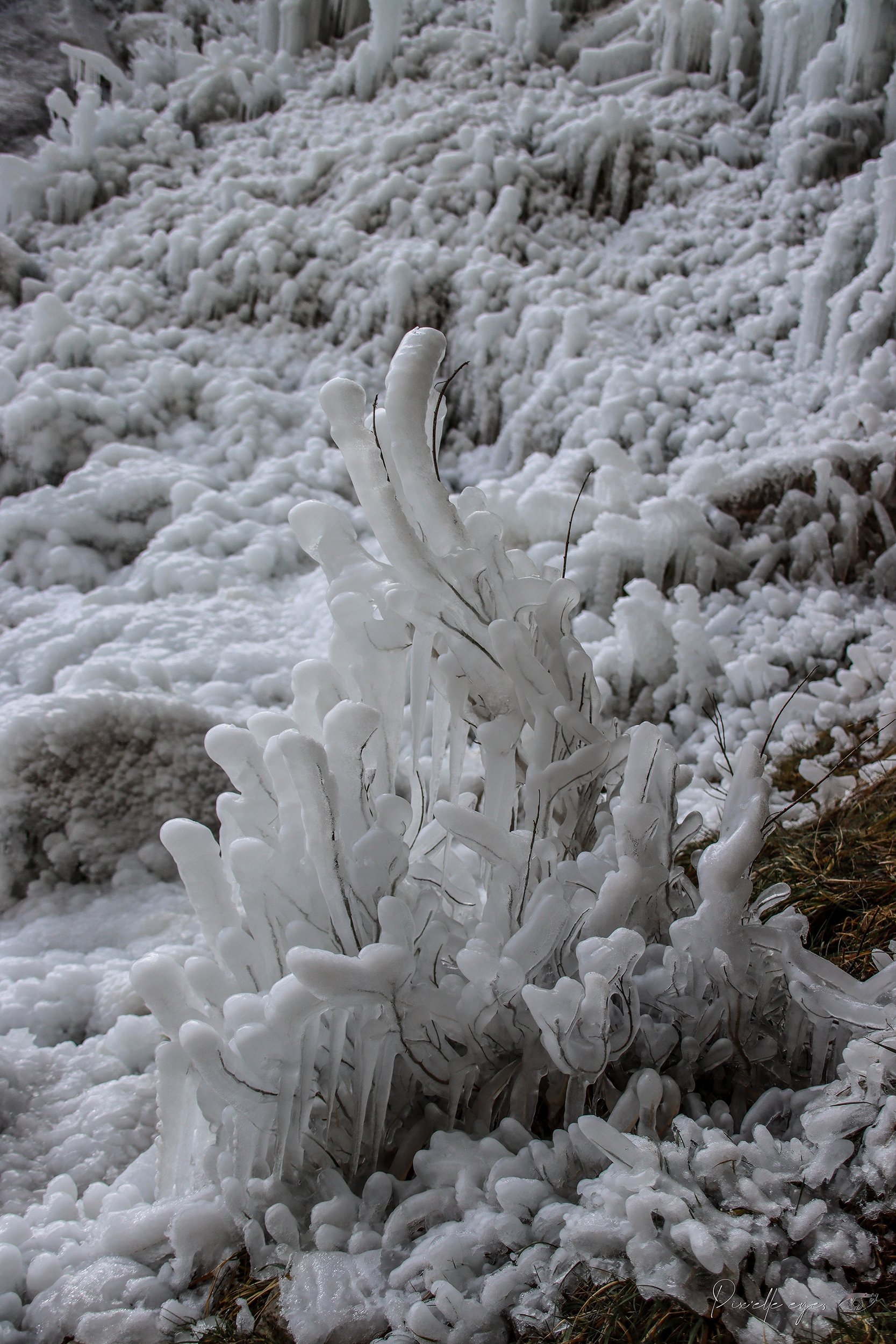 Fine Art Photography- Limited edition - Frozen Elegance, Cascade de Clars product image (1)