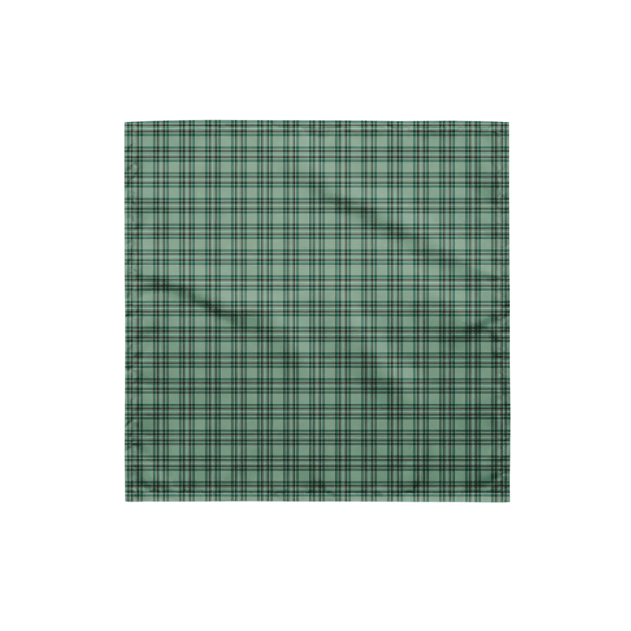 Kelly Tartan Bandana product image (4)