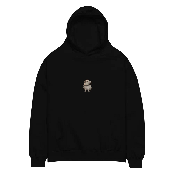 Archie Hoodie 2.0 product image (2)
