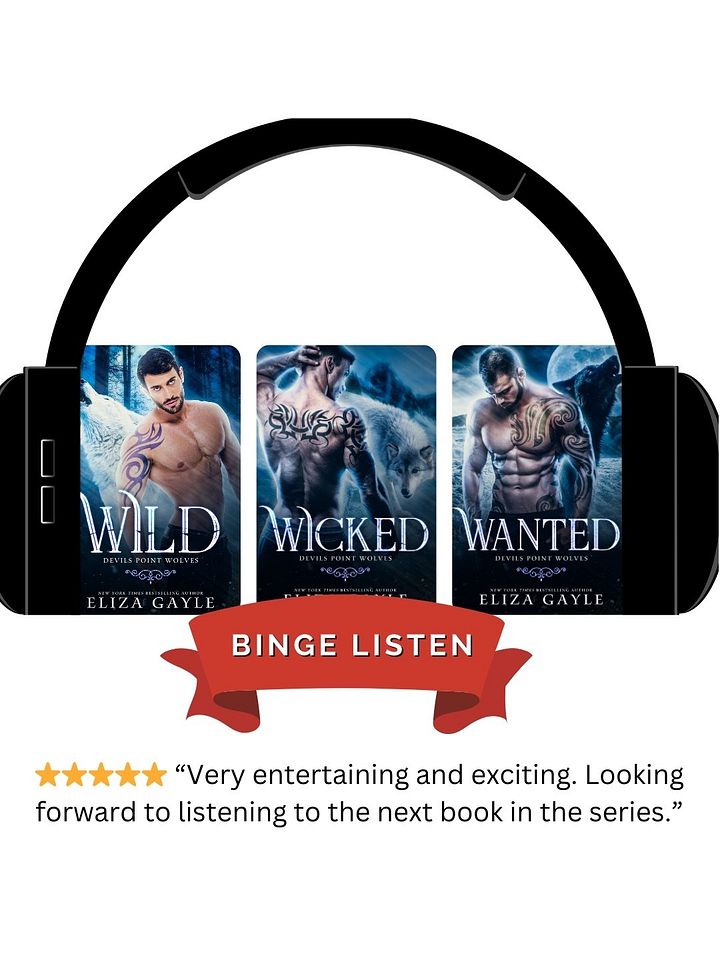 Devils Point Wolves Audiobook Bundle Add On product image (1)