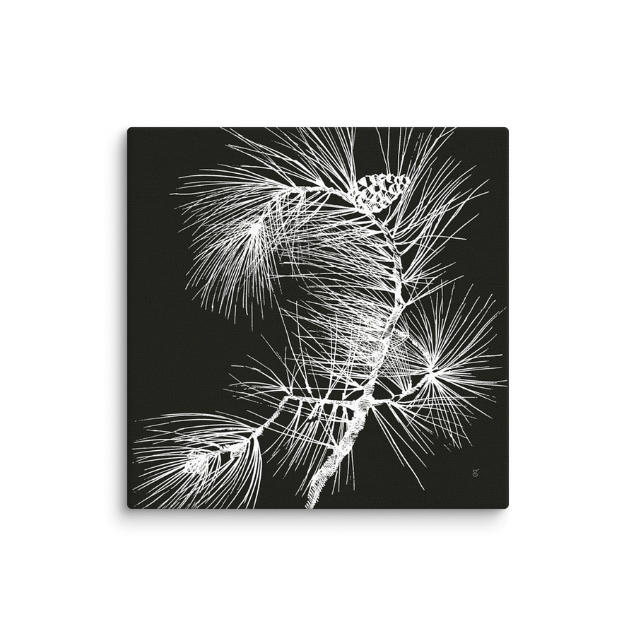 Visionary Canvas Collection - Pine Branch Dark product image (1)