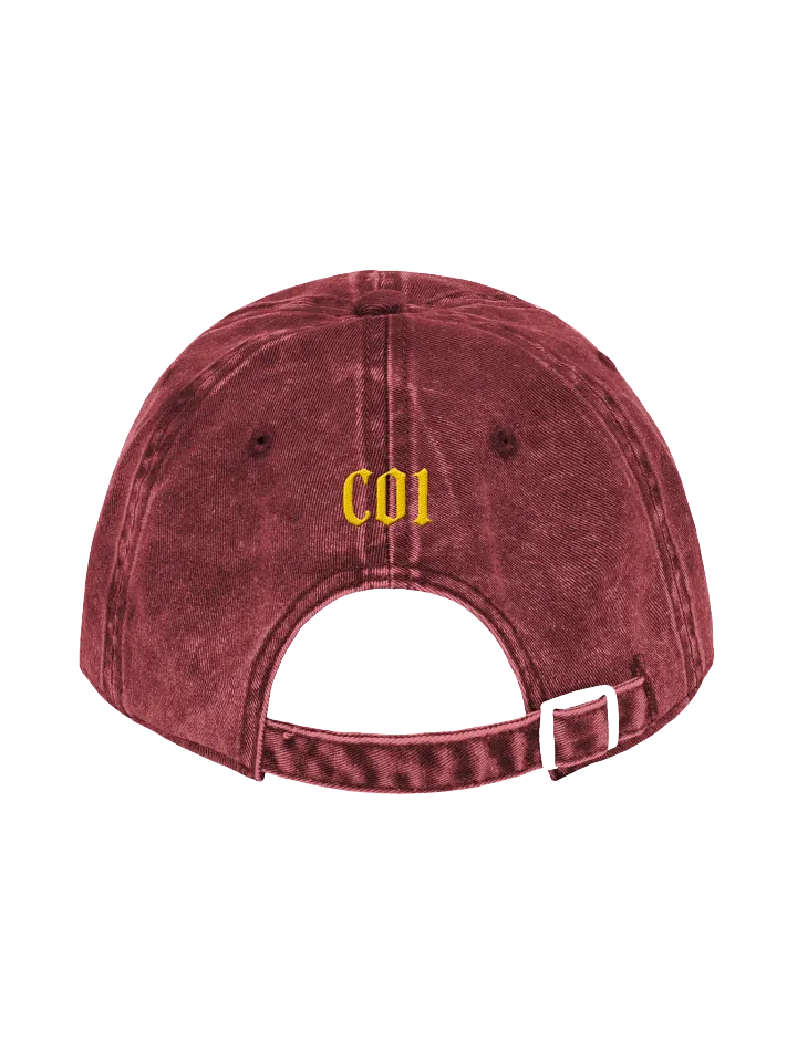 Team Infinights Embroidered Hat product image (4)