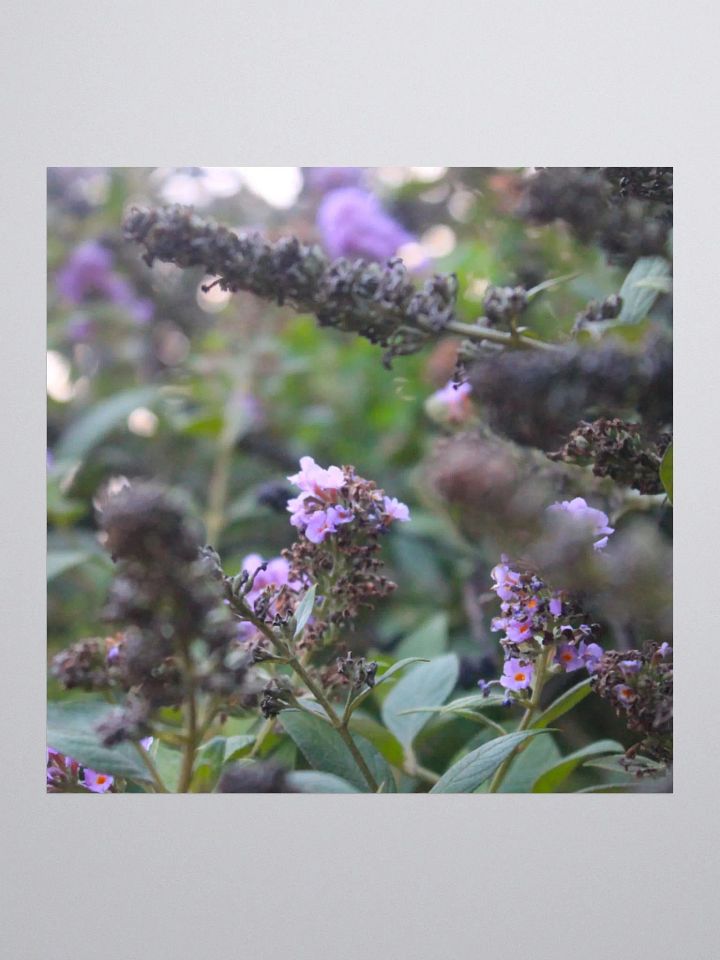 A Study in Flowers 6 - sticker version product image (3)