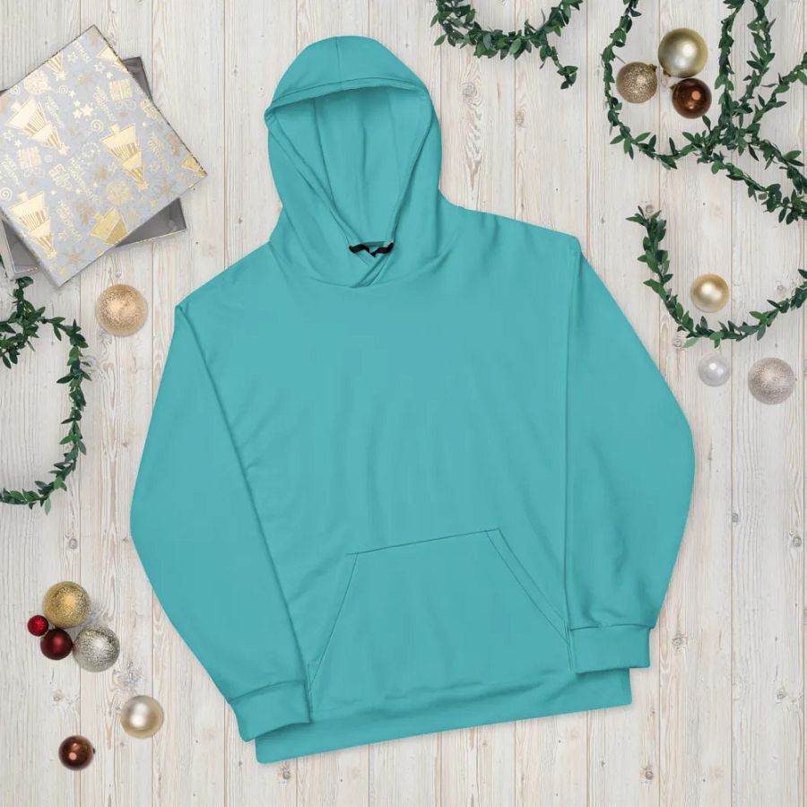Teal Hoodie product image (11)