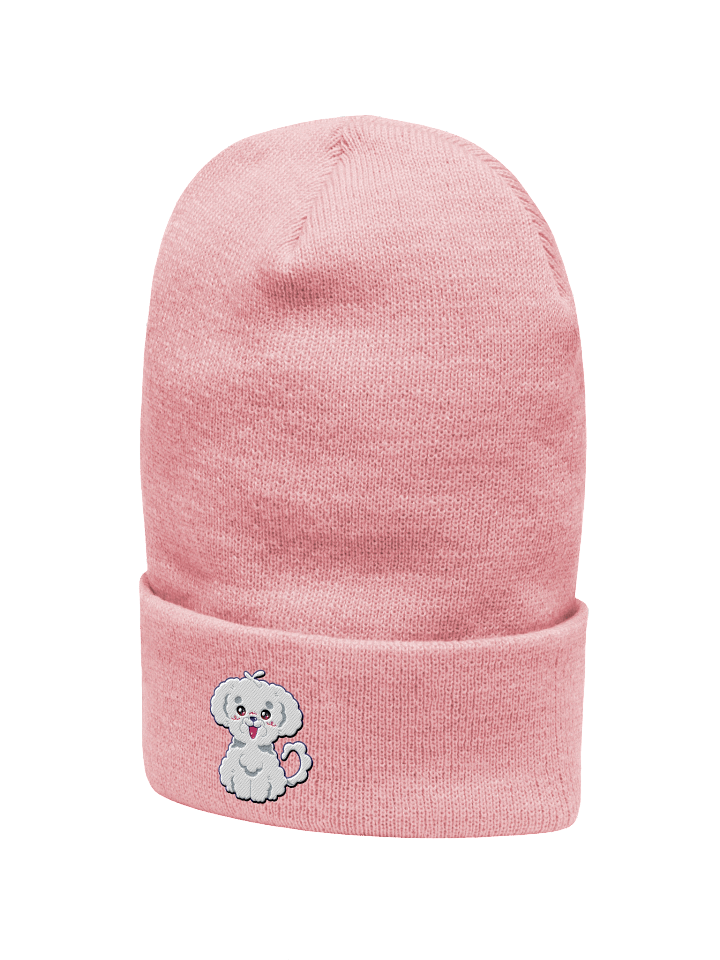 RamenDoodlesCafe Mascot Embroidered Beanie product image (7)
