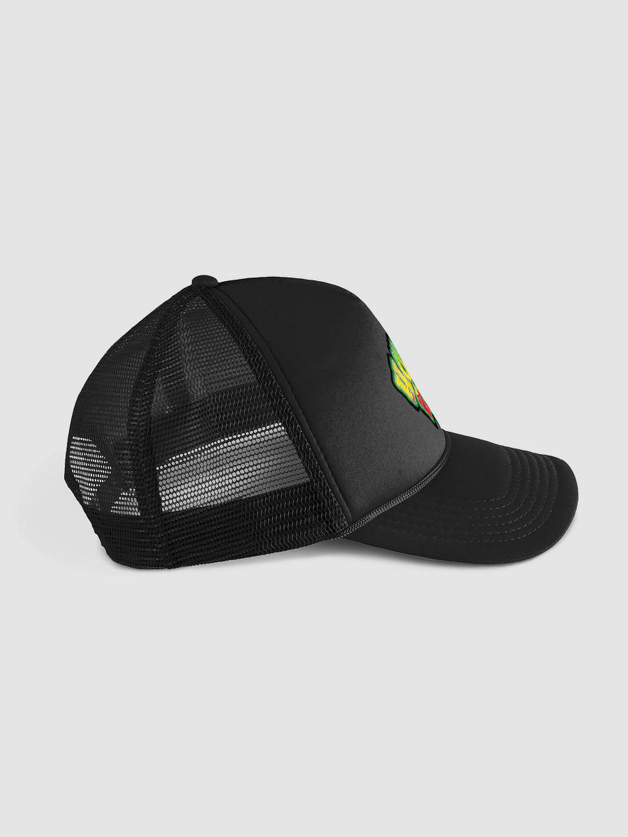 HOT BOX FAMILY LOGO HAT product image (6)