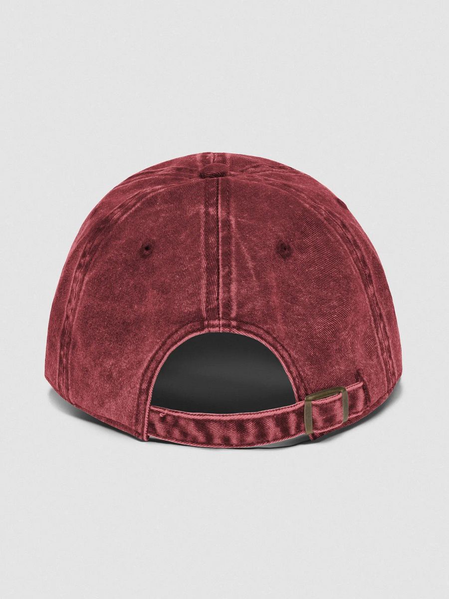 DNAGE RCRDS Hat (Washed Red) product image (2)