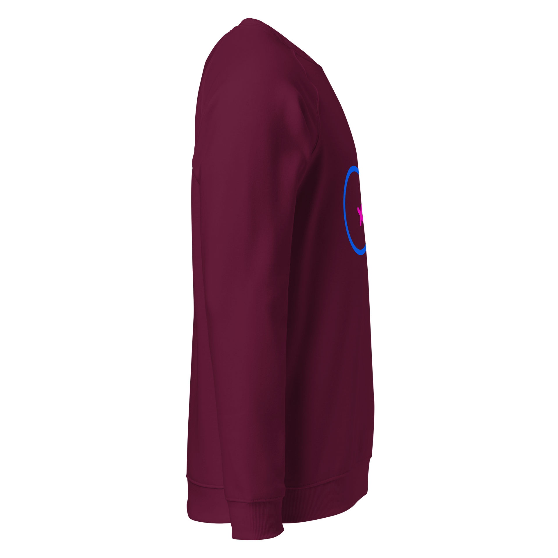 Male & Female Genders Only Raglan Sweatshirt product image (4)