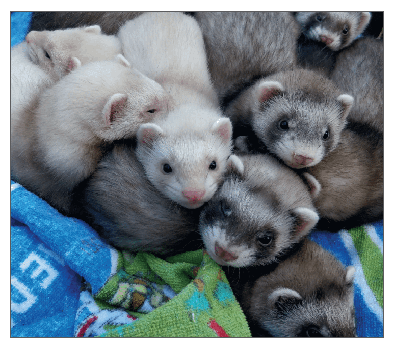 Kingsdown Kits PhotoBook - UK/EU Delivery product image (5)