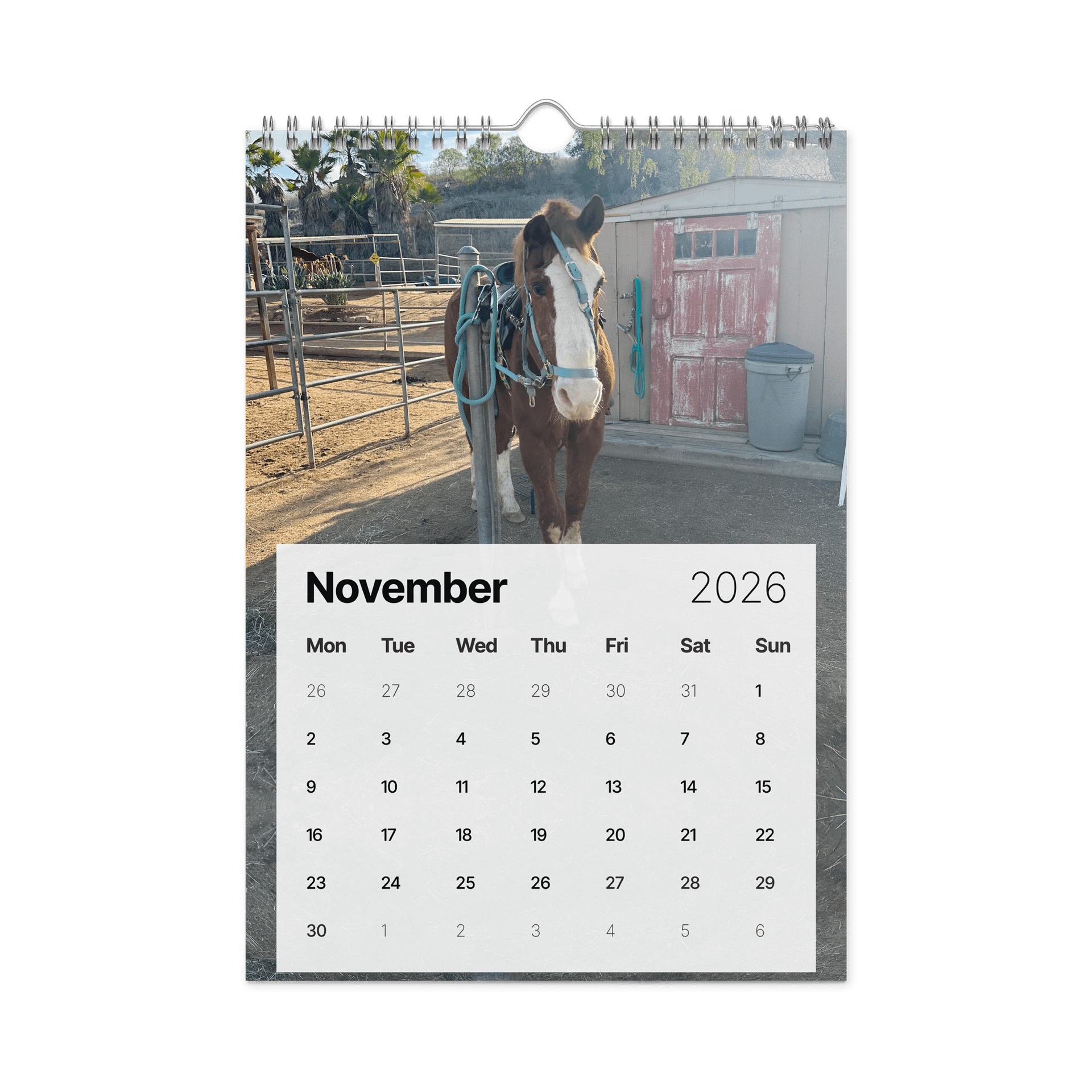 2026 Souls of Sorrels Wall Calendar product image (11)