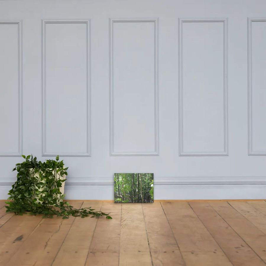 Empire Bluff Forest Canvas product image (4)