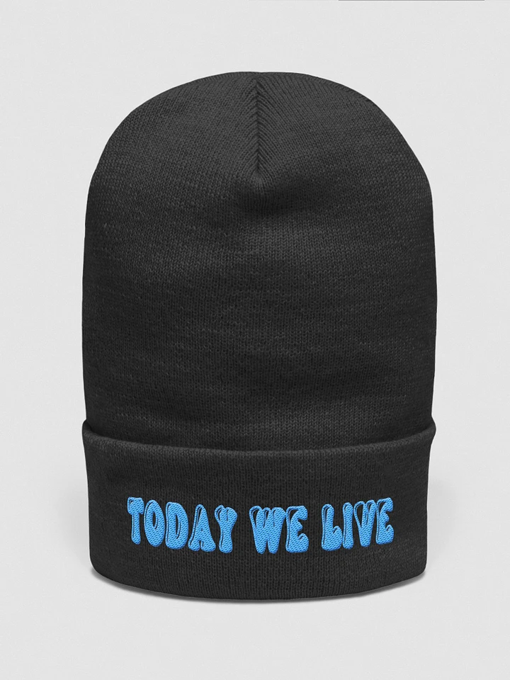 Today We Live Old School Beanie product image (1)