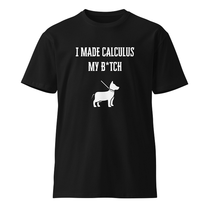 I Made Calculus My B*tch T-Shirt product image (1)