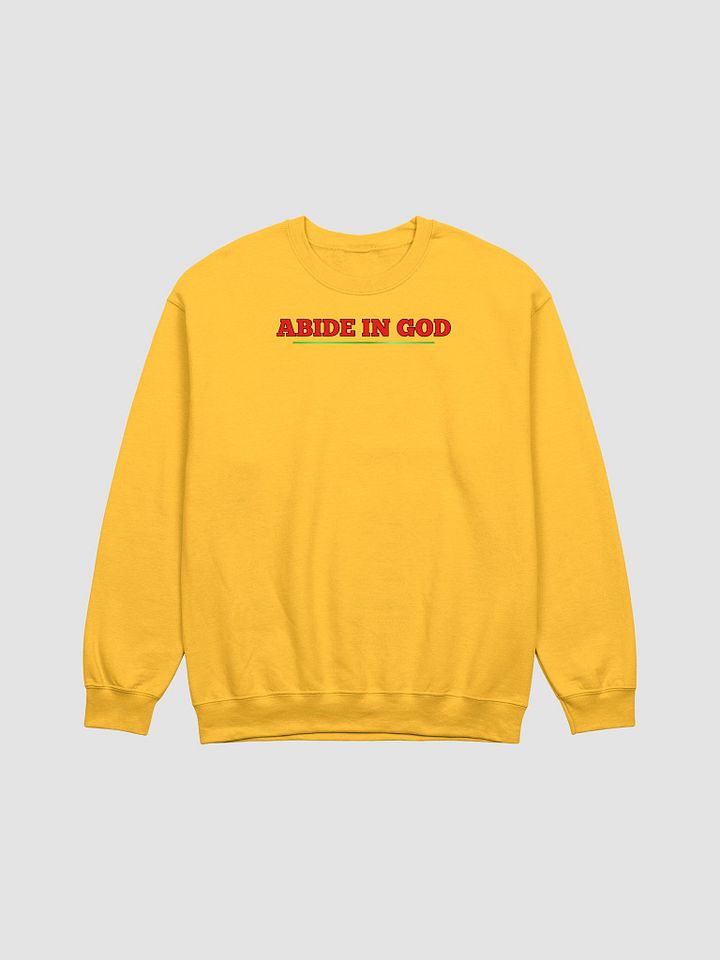 Abide in GOD product image (1)