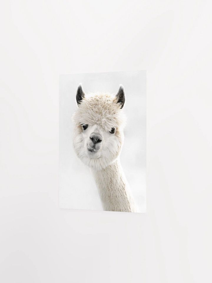 Cream Alpaca Dreams Matte Poster product image (24)
