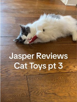 This is jaspers new favorite toy!  Milo isn’t a fan of toys like these.