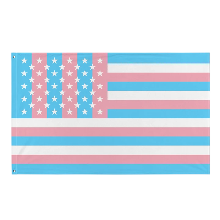 USA Trans Pride Flag product image (1)