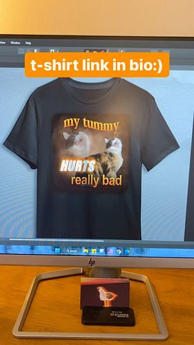 Link in bio!! Here’s a shirt  designed for the tummy ache survivors and the cat lovers (and the graphic design haters)

#shit...
