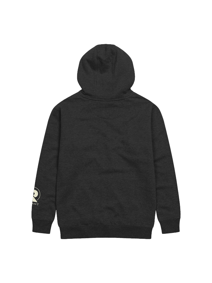 A Radiant Glyphs Hoodie product image (2)