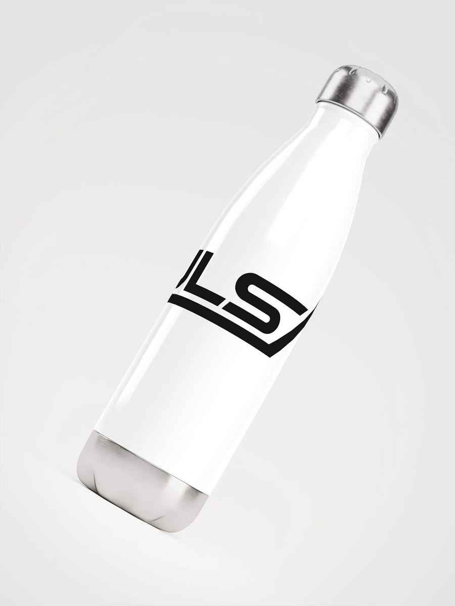 Stainless Steel Water Bottle product image (4)
