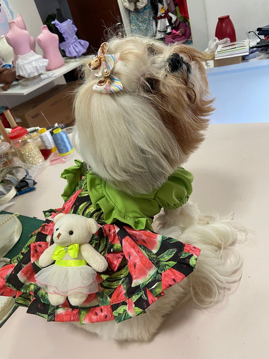 Vestido Encanto Delicado - Modelagem Pet PDF product image (5)