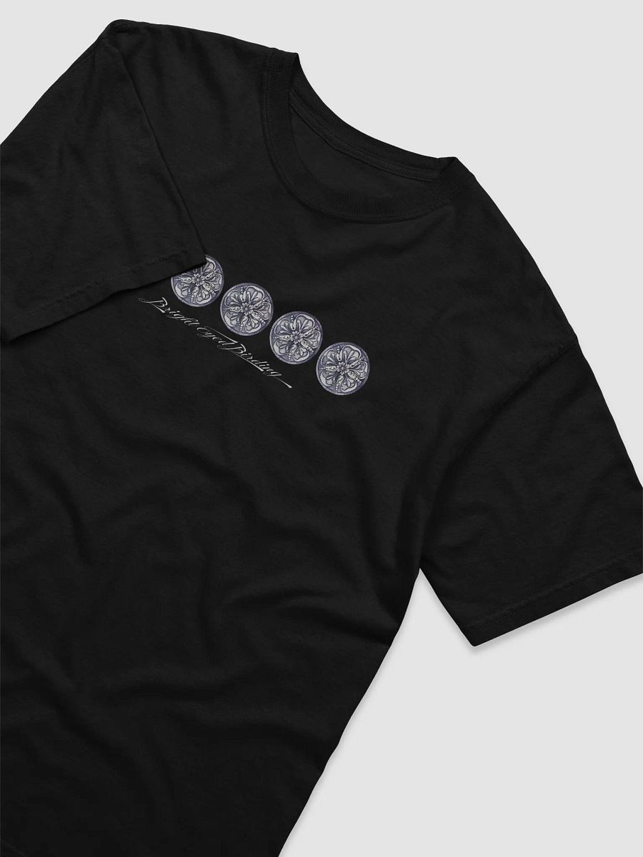 Flock 1 - Brewer's Blackbird Front/Back T-Shirt product image (12)