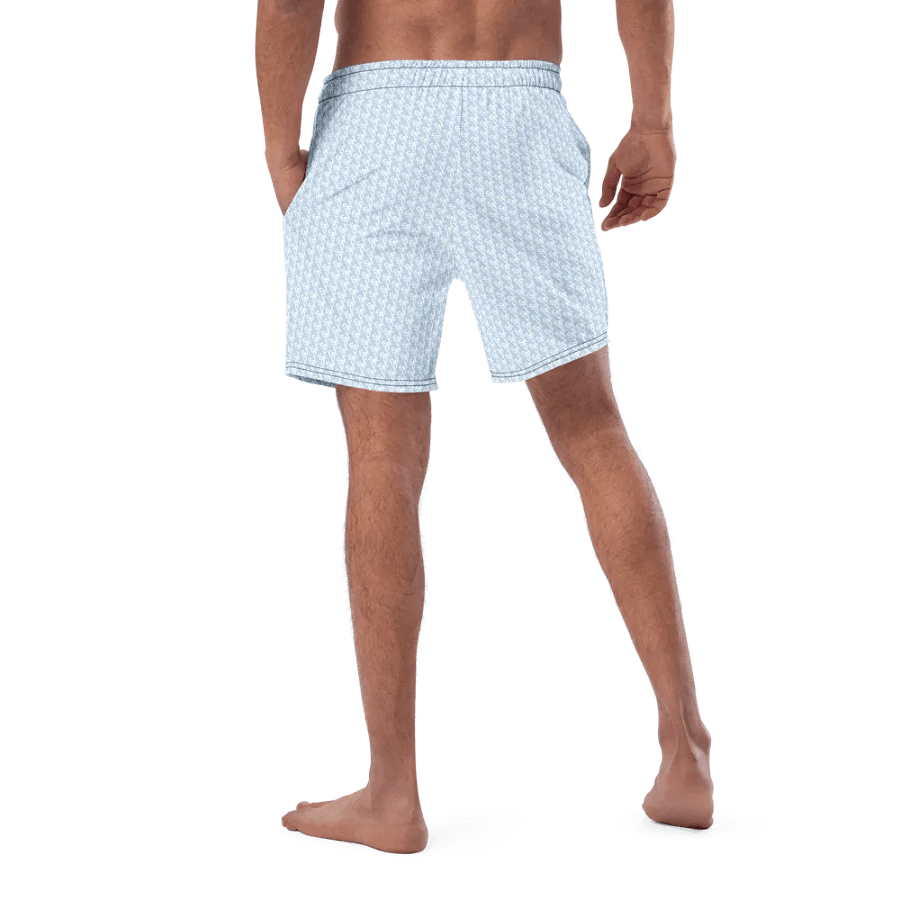 Syn-Stripe Trunks Blue/White product image (3)