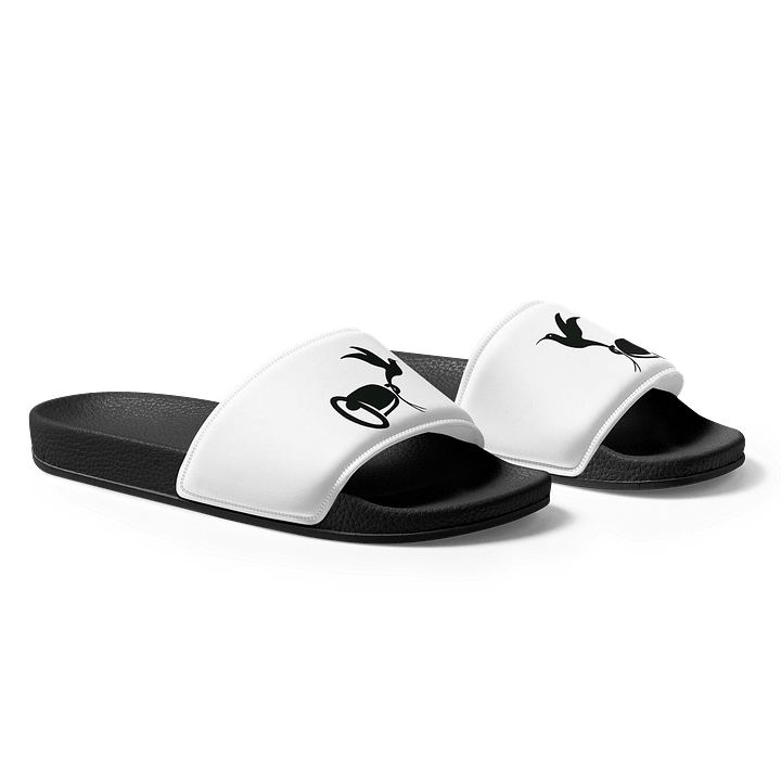 Hummingbird Haven Slides product image (1)