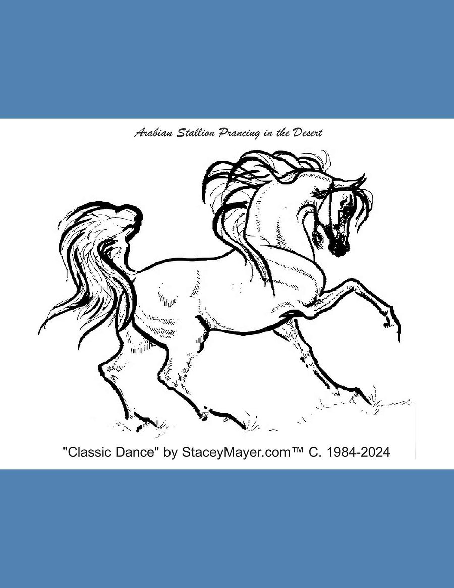 Stacey Mayer's Classic Horse Coloring Book product image (5)
