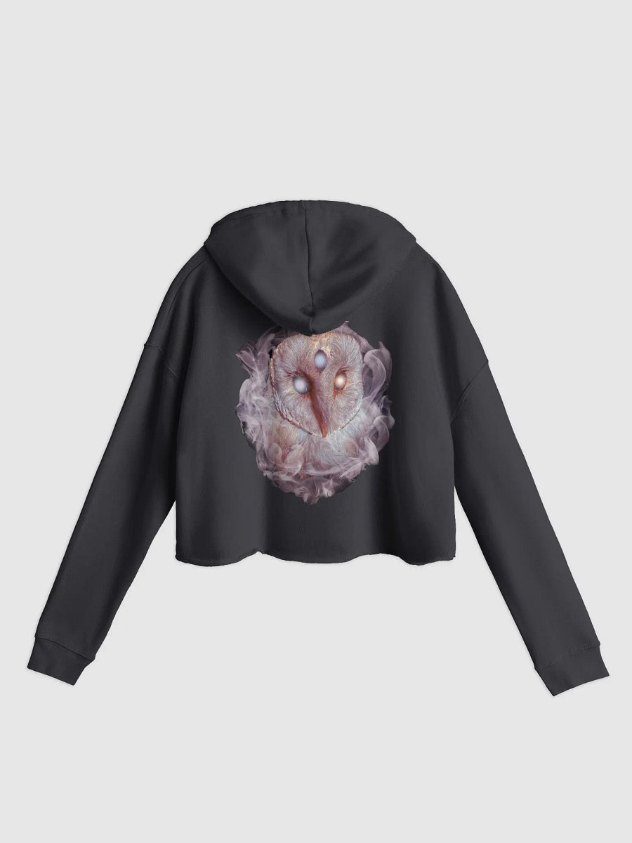 Omniscience Cropped Hoodie product image (1)