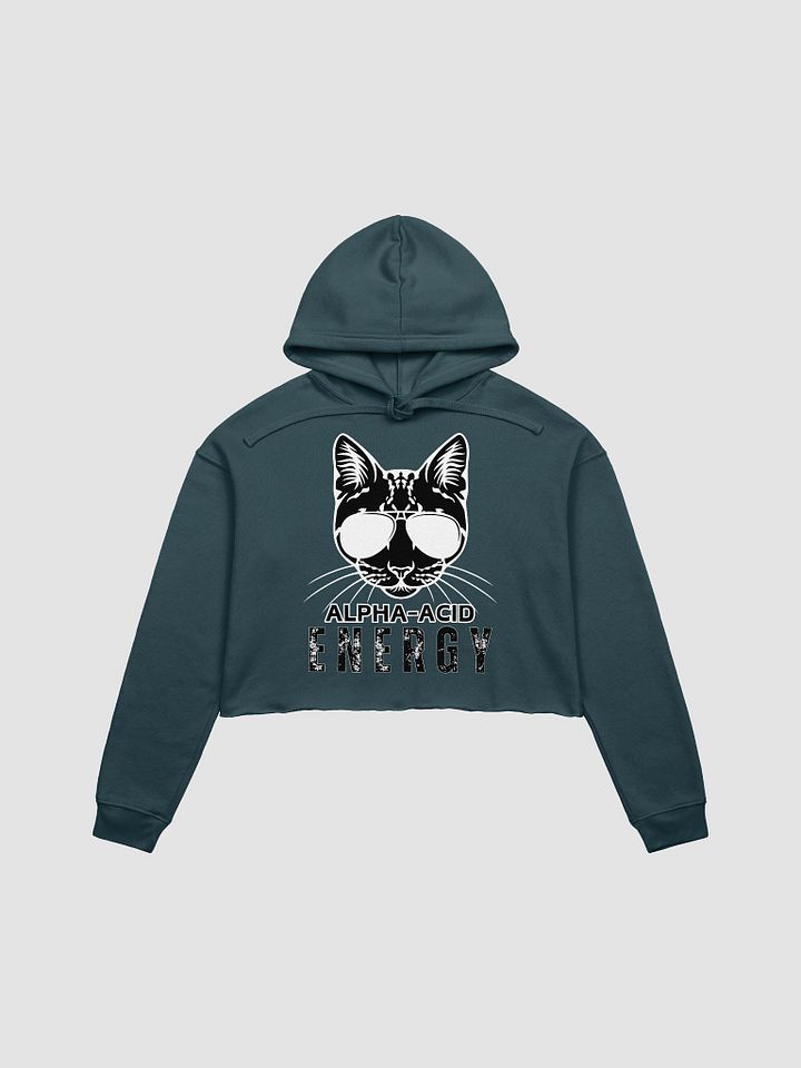 Alpha-Acid Energy Crop Hoodie product image (2)