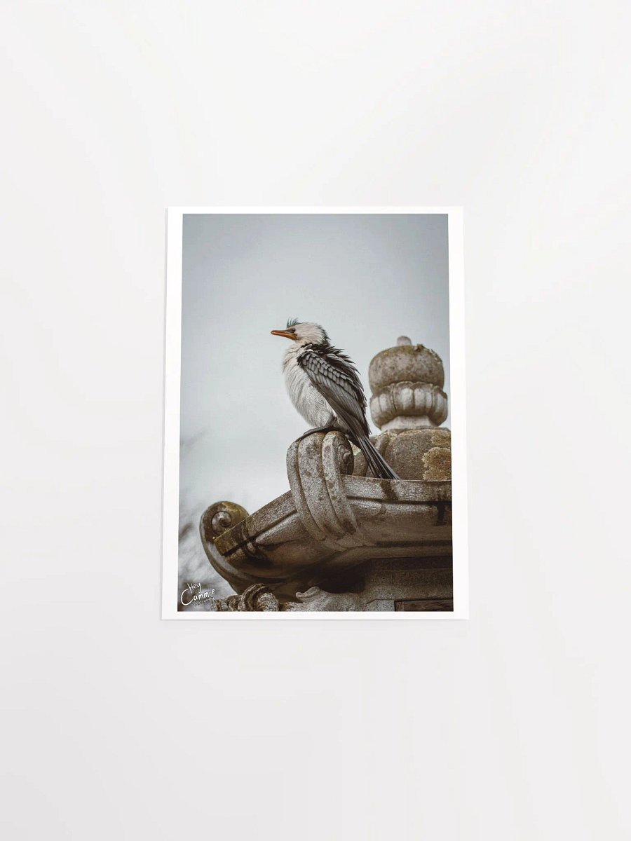 Patience - Print product image (4)