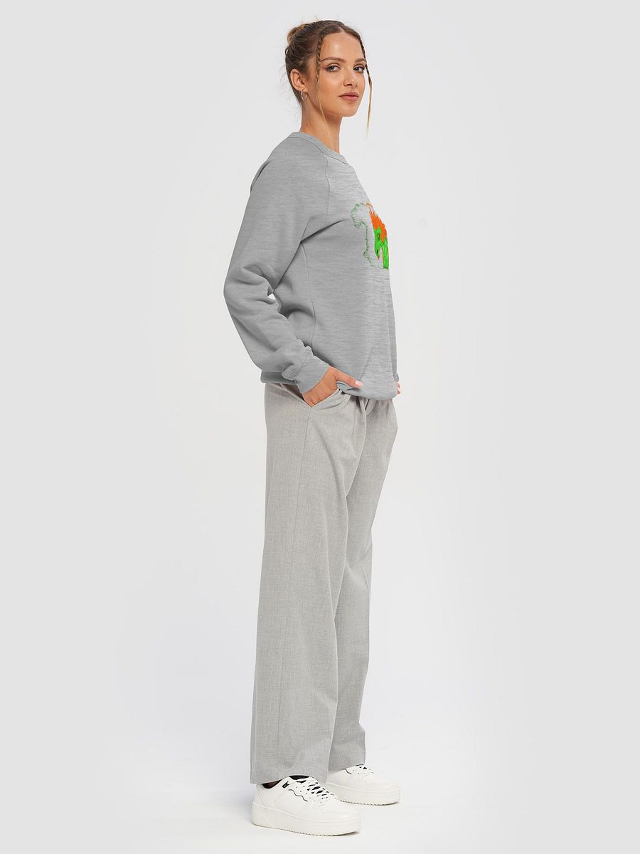Dragon's Fury Raglan Sweatshirt product image (6)