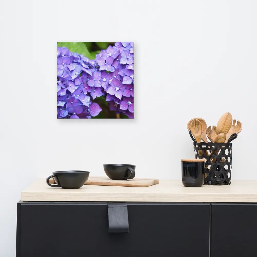 Hydrangeas product image (5)