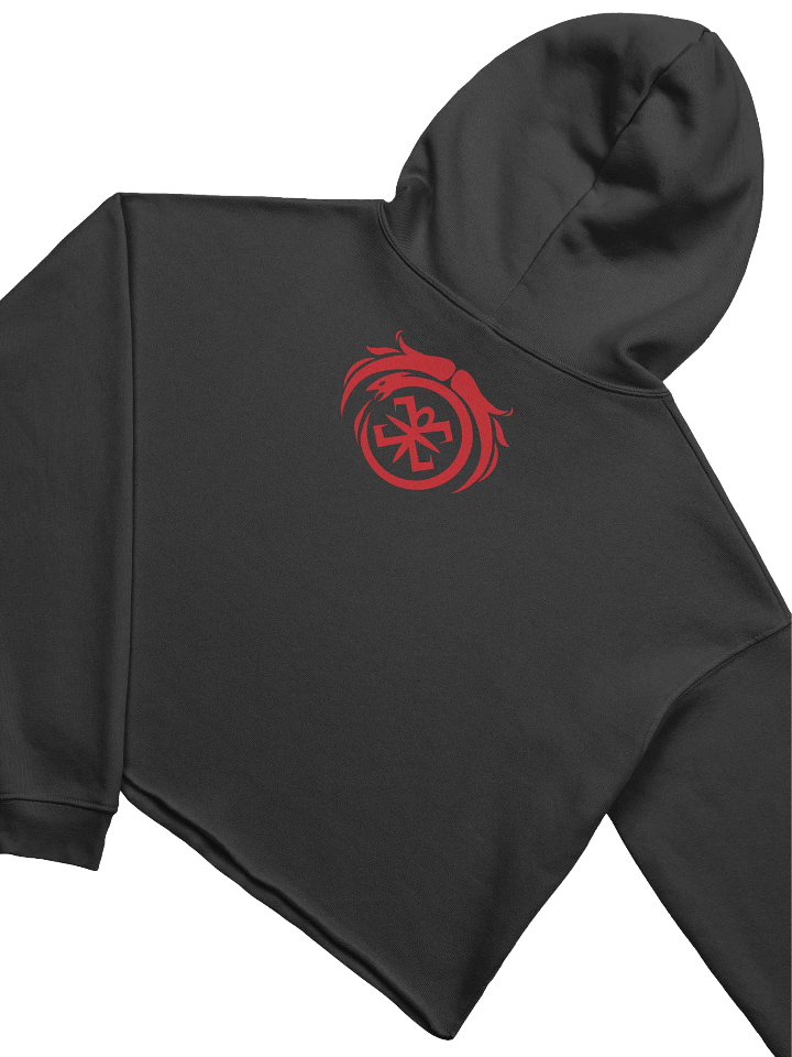 Chaotic Cropped Hoodie product image (6)