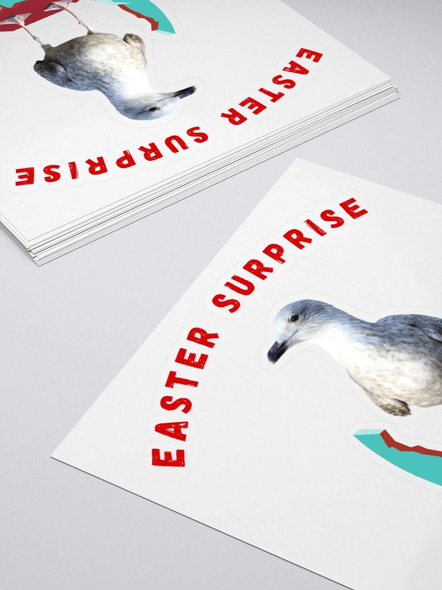 Easter Surprise - It's a Seagull Chick! product image (11)