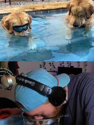 Behind The Scenes 🐕🤿 @Mr. Tub & Blue 
